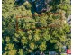 53 Northcove Road, Long Beach NSW 2536
