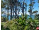 203 Beach Road, Denhams Beach NSW 2536