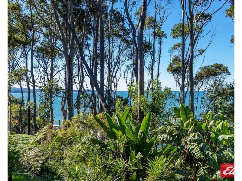 203 Beach Road, Denhams Beach NSW 2536