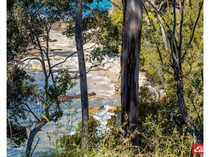 21 BEECHWOOD COURT, Sunshine Bay NSW 2536