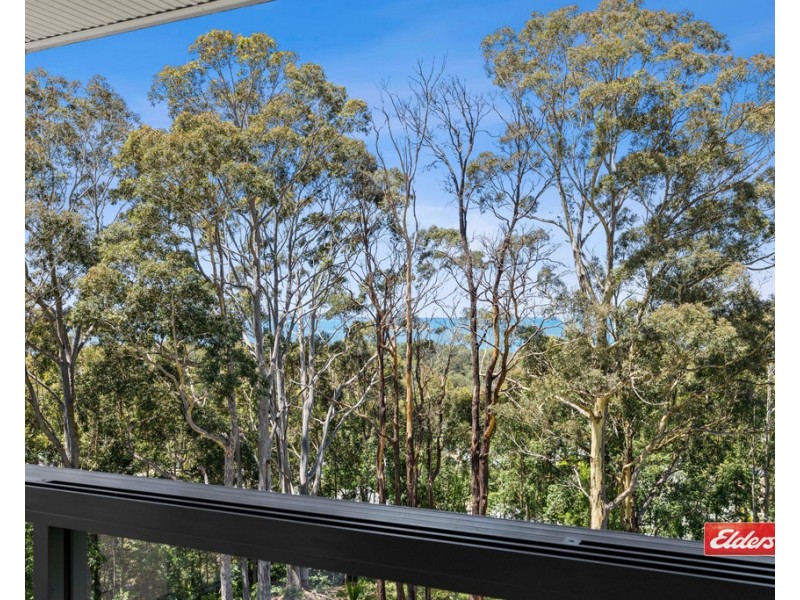 18 SANCTUARY PLACE, Catalina NSW 2536