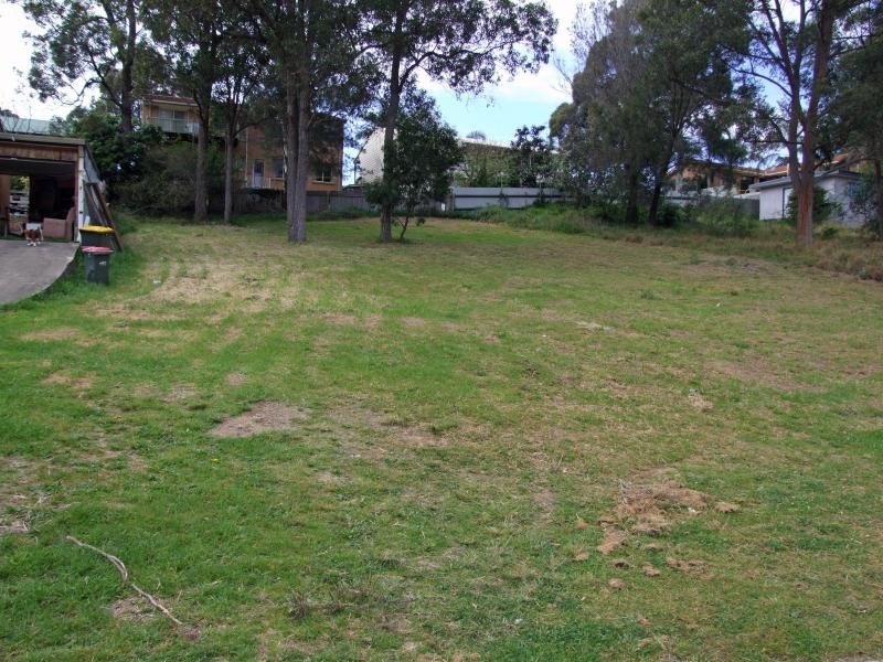 19 Albatross Road, Catalina NSW 2536