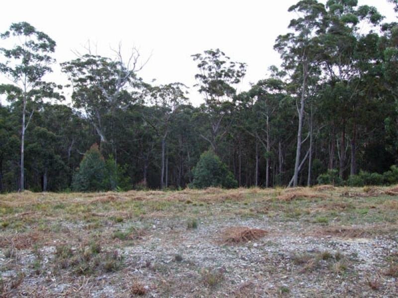 Lot 442 Sea Acres Drive, Long Beach NSW 2536