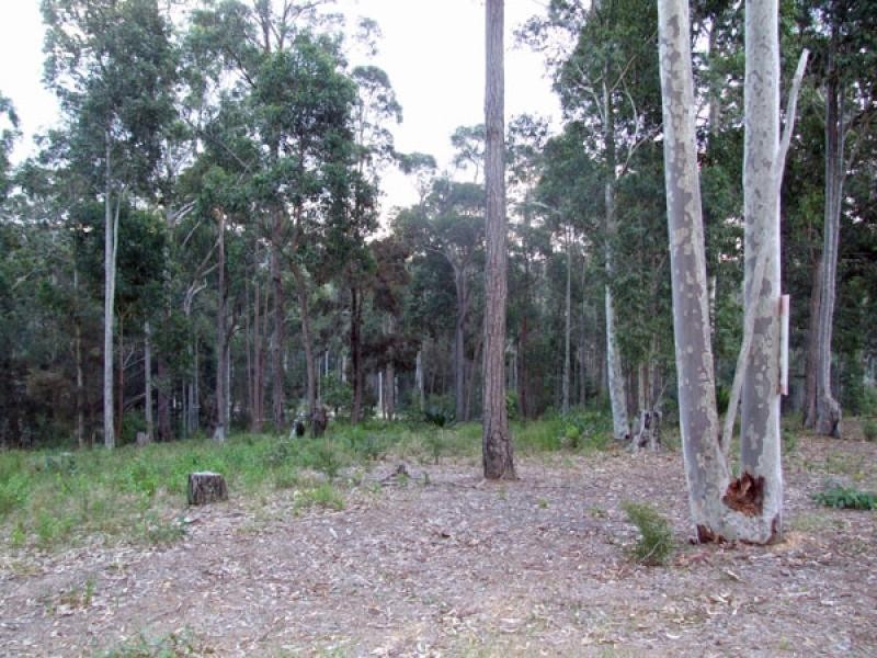 Lot 160 Warragai Place, Malua Bay NSW 2536