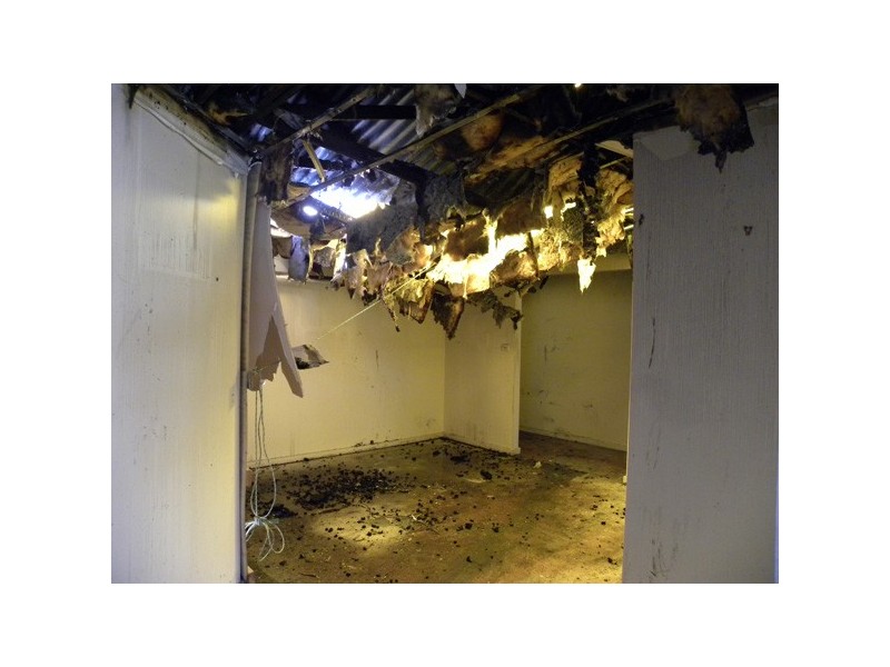 20 Wentworth Avenue, Sunshine Bay NSW 2536