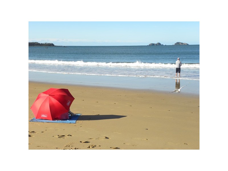 44 Courtnenay Crescent, Long Beach NSW 2536