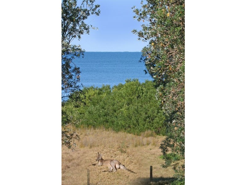 98 Sandy Place, Long Beach NSW 2536