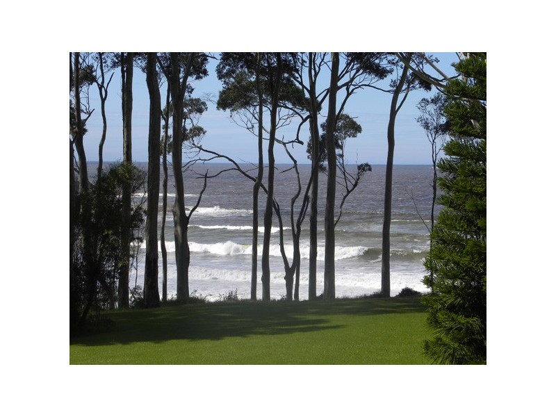 224/269 Beach Road “Edgewood Park”, Denhams Beach NSW 2536