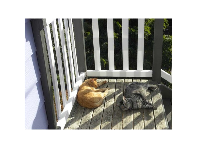 25 Riverview Crescent, Catalina NSW 2536