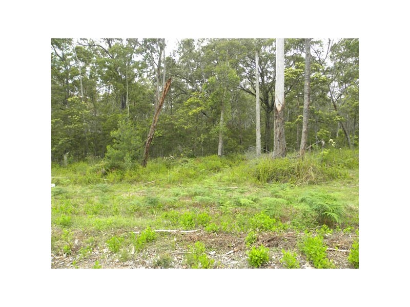 Lot 206 Greendale Close, Sunshine Bay NSW 2536