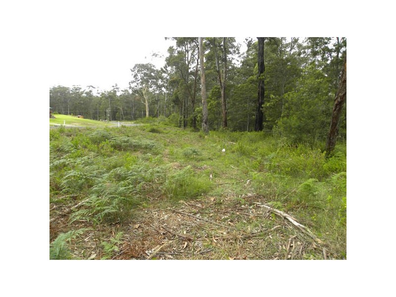 Lot 206 Greendale Close, Sunshine Bay NSW 2536