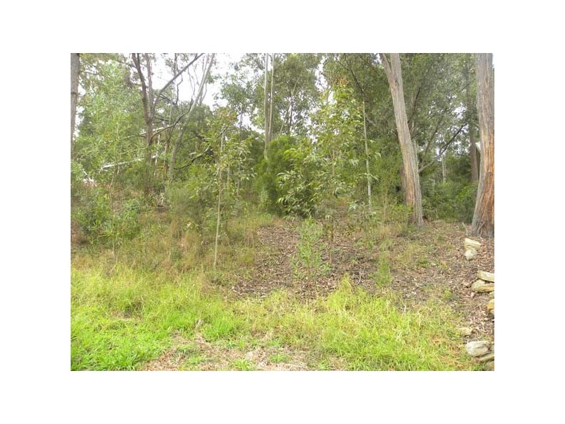 55 Albatross Road, Catalina NSW 2536