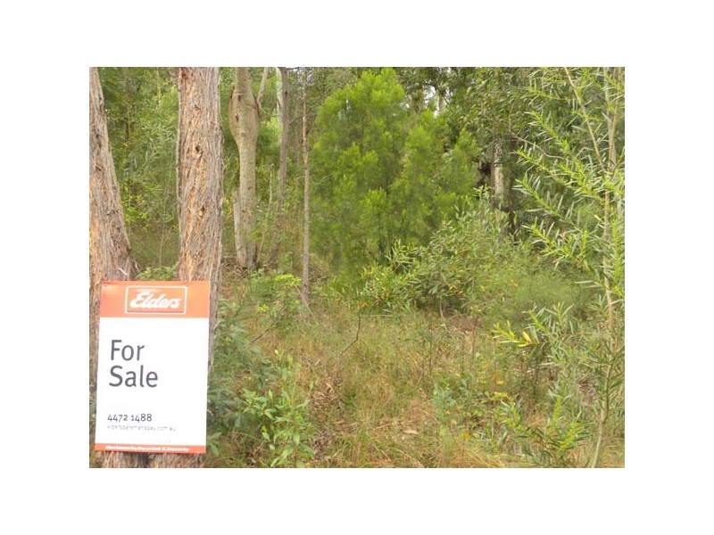 55 Albatross Road, Catalina NSW 2536