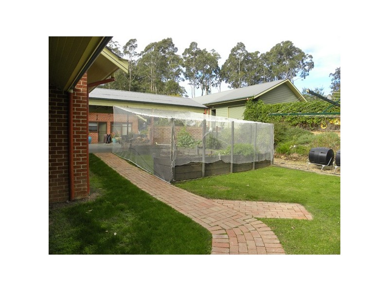 55 Barrakee Drive, Long Beach NSW 2536