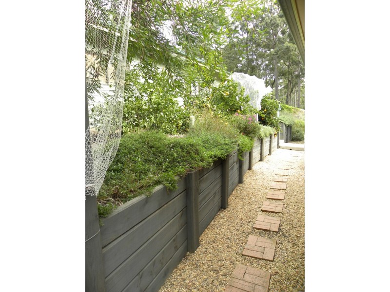 55 Barrakee Drive, Long Beach NSW 2536