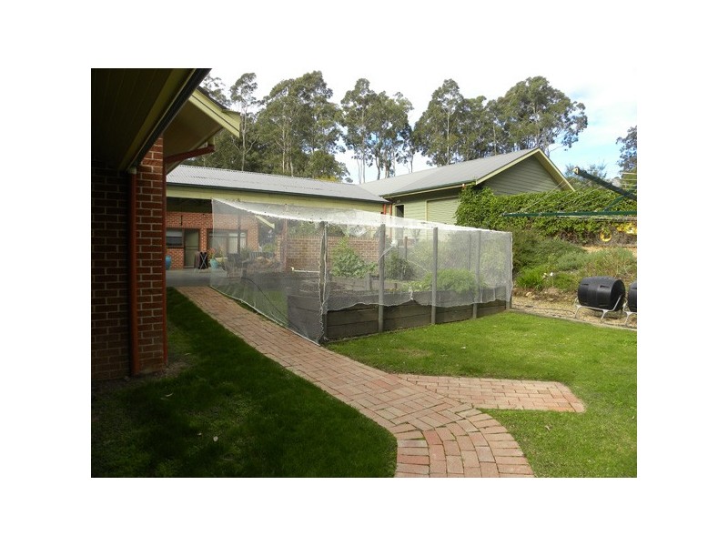 55 Barrakee Drive, Long Beach NSW 2536