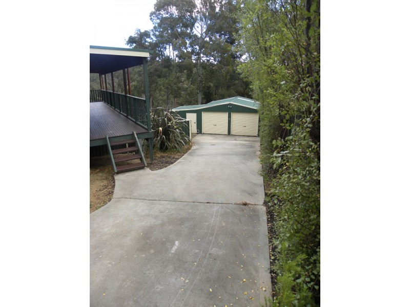 10 Gannet Place, Catalina NSW 2536