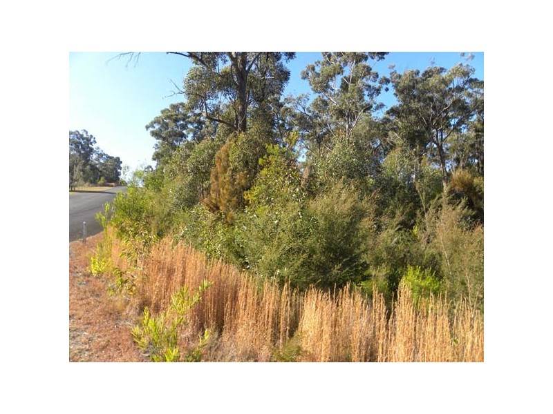 3 Tree Fern Pl, Long Beach NSW 2536