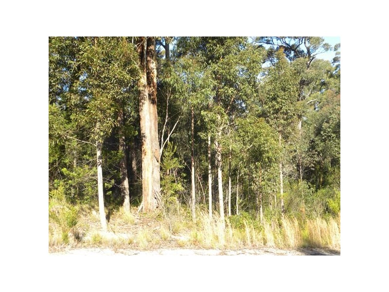 3 Tree Fern Pl, Long Beach NSW 2536