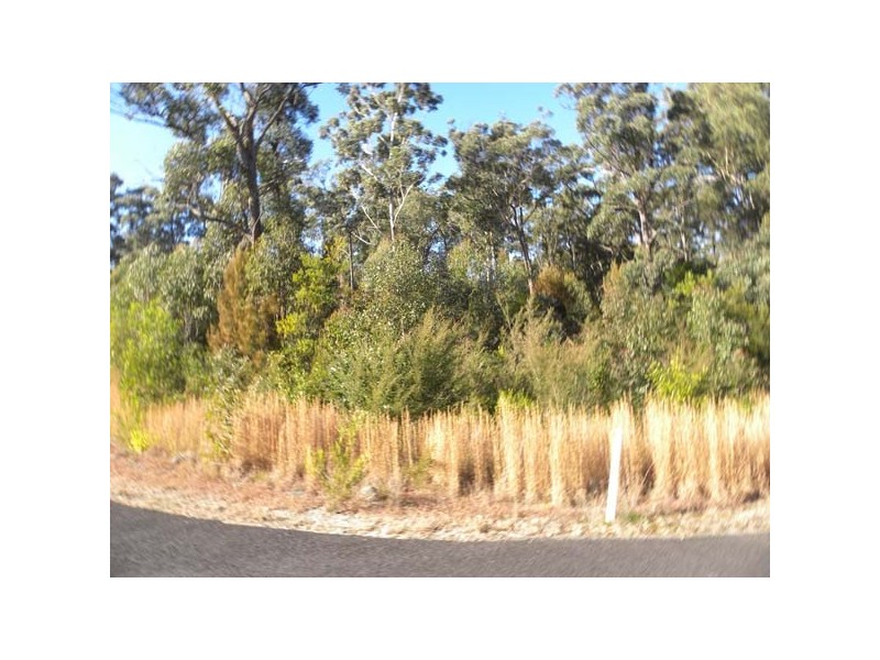 3 Tree Fern Pl, Long Beach NSW 2536