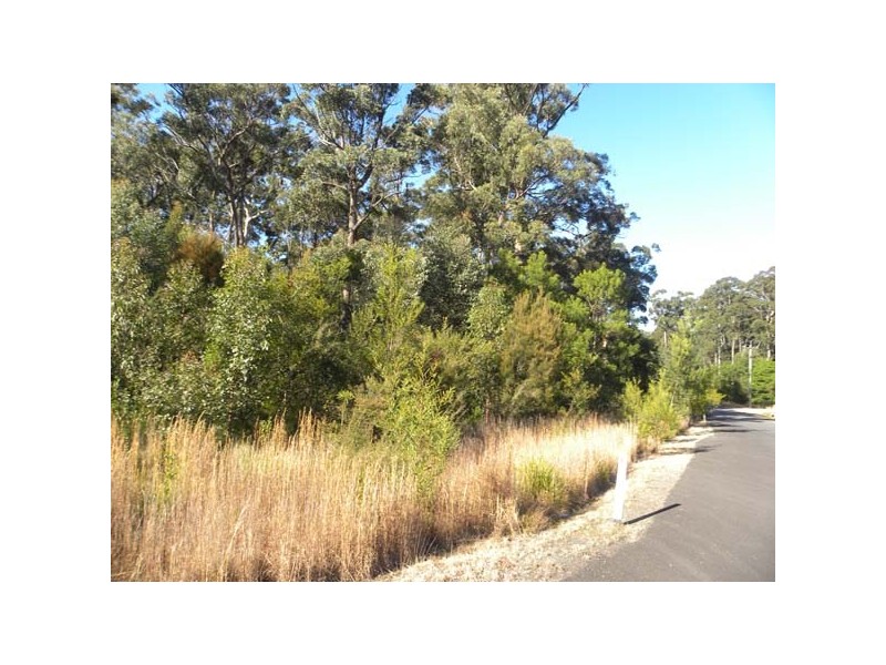 3 Tree Fern Pl, Long Beach NSW 2536