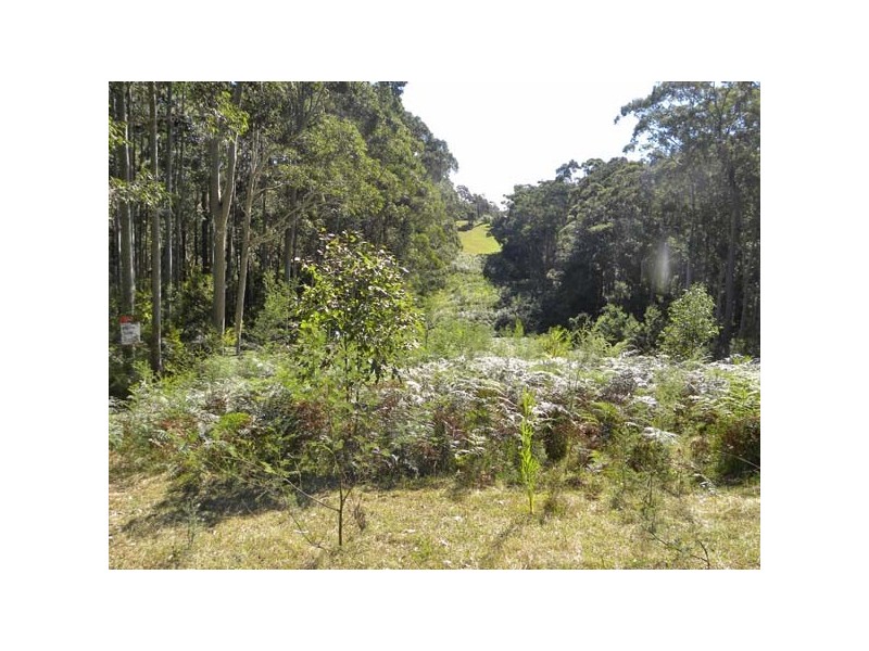 43 Long Beach Road, Long Beach NSW 2536