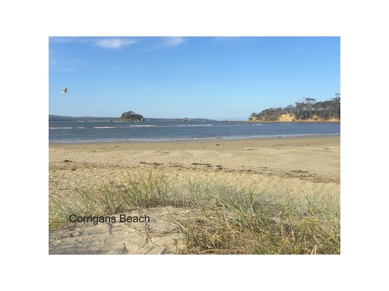 36 Carlton Road, Batehaven NSW 2536