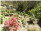 29 Hazel Road, Moruya Heads NSW 2537