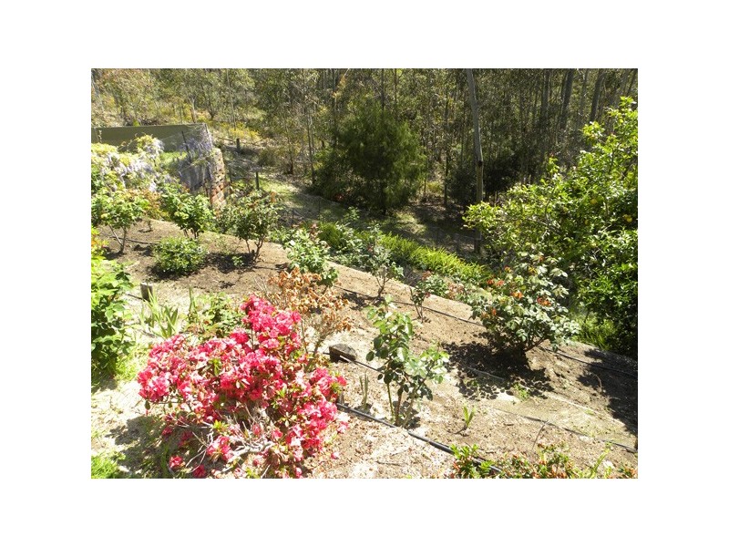 29 Hazel Road, Moruya Heads NSW 2537