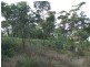 59 Iluka Ave, Malua Bay NSW 2536