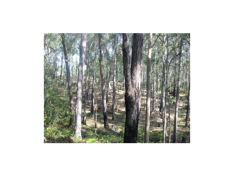 Lot 21 Innes Place, Long Beach NSW 2536