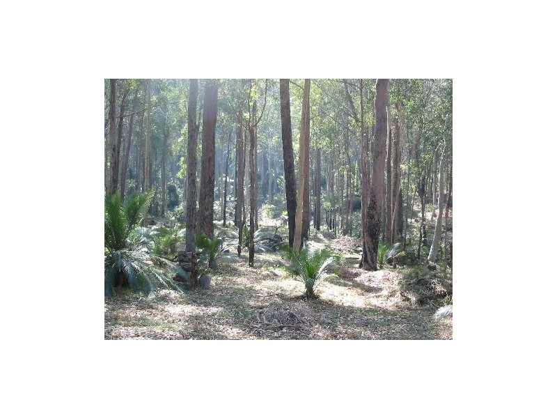 Lot 21 Innes Place, Long Beach NSW 2536