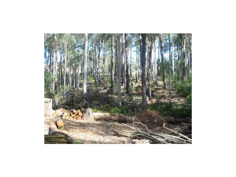 Lot 21 Innes Place, Long Beach NSW 2536