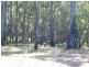 Lot 21 Innes Place, Long Beach NSW 2536