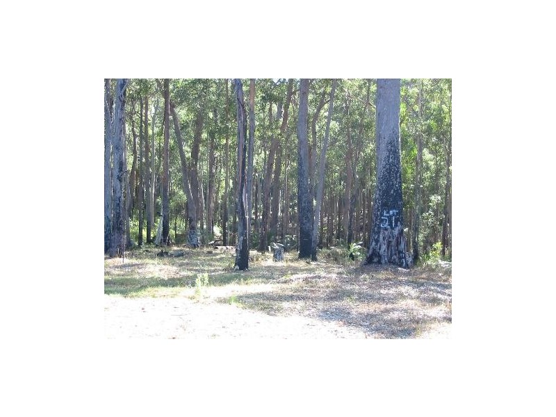 Lot 21 Innes Place, Long Beach NSW 2536