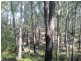 Lot 21 Innes Place, Long Beach NSW 2536