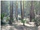 Lot 21 Innes Place, Long Beach NSW 2536