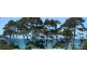 9 Graydon Ave, Denhams Beach NSW 2536