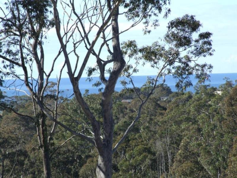 20 Bowerbird Place, Malua Bay NSW 2536