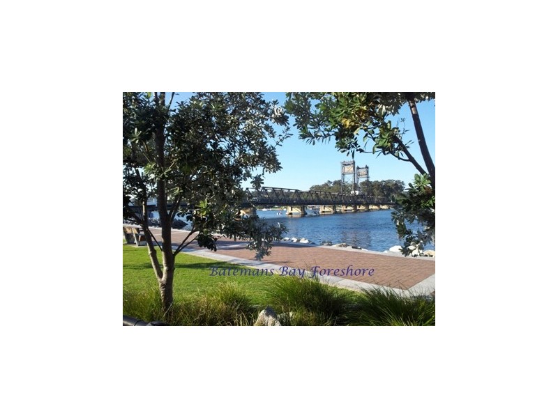 2 Penguin Place, Catalina NSW 2536