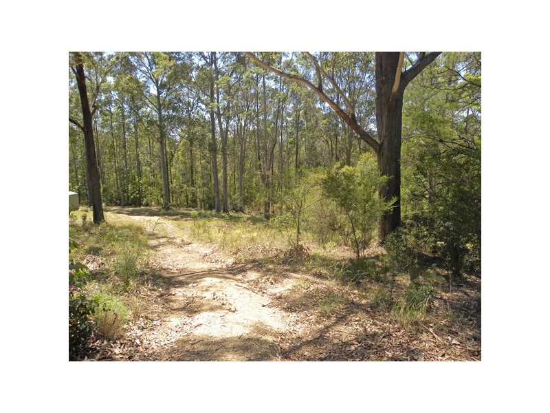 21 Catalina Drive, Catalina NSW 2536