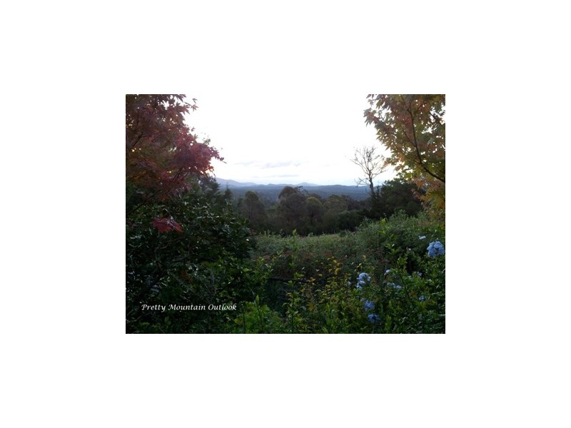 9 Wamban Road, Moruya NSW 2537