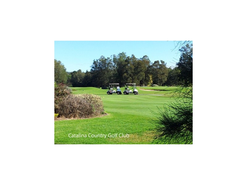 80 Country Club Drive, Catalina NSW 2536