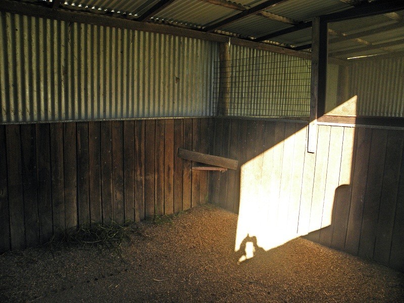 130 Bimbimbie Road, Bimbimbie NSW 2536