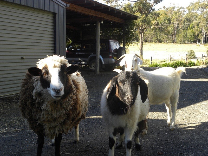 130 Bimbimbie Road, Bimbimbie NSW 2536