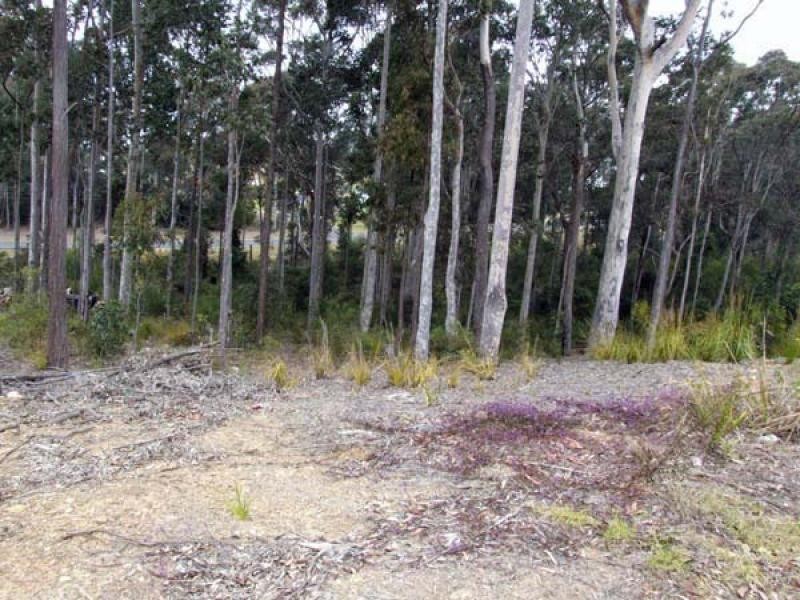 17 Bellbird Drive, Malua Bay NSW 2536