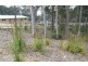 17 Bellbird Drive, Malua Bay NSW 2536