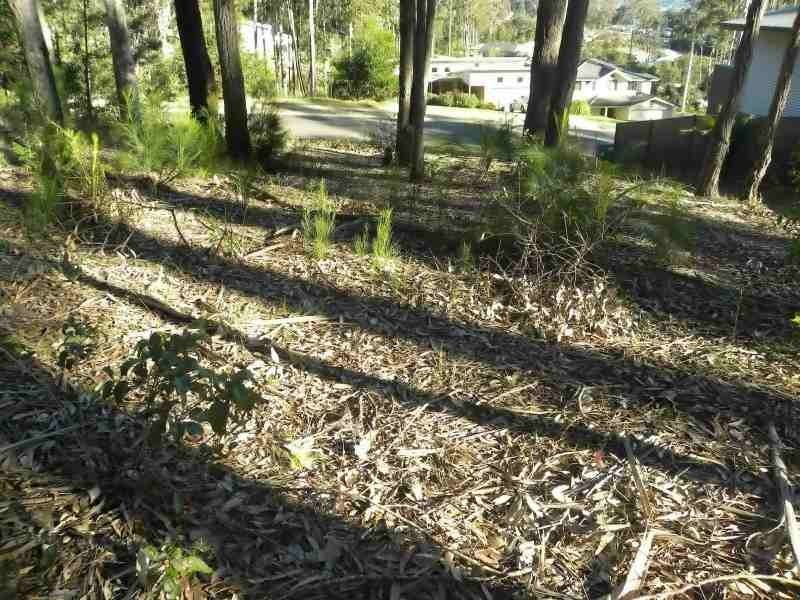 23 Litchfield Crescent, Long Beach NSW 2536