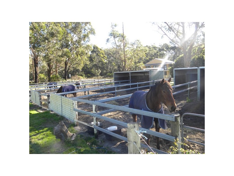 3/110 Donnelly Drive, Moruya NSW 2537
