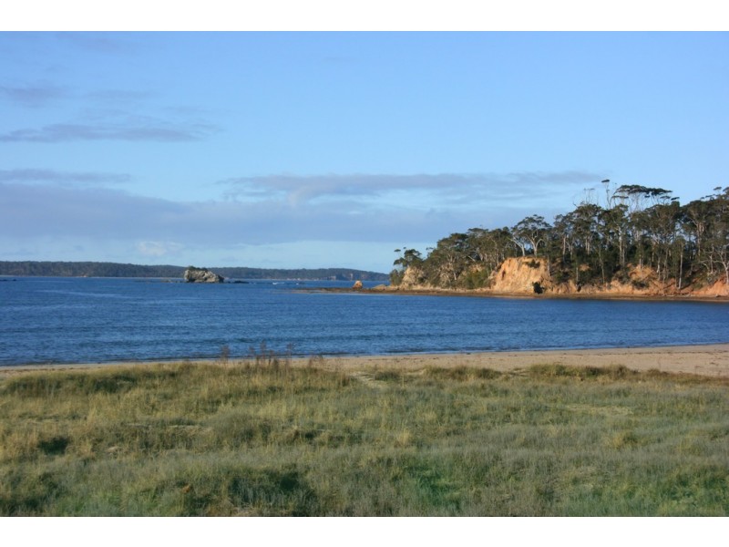13 Ibis Place, Catalina NSW 2536